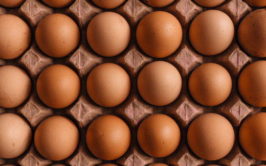 1244974 (a): :2560x1600